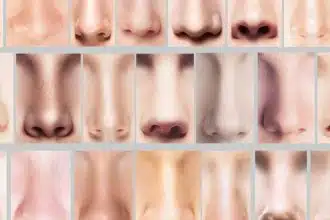 Interprétation des caractéristiques l'homme au nez aquilin et son impact sur la personnalité